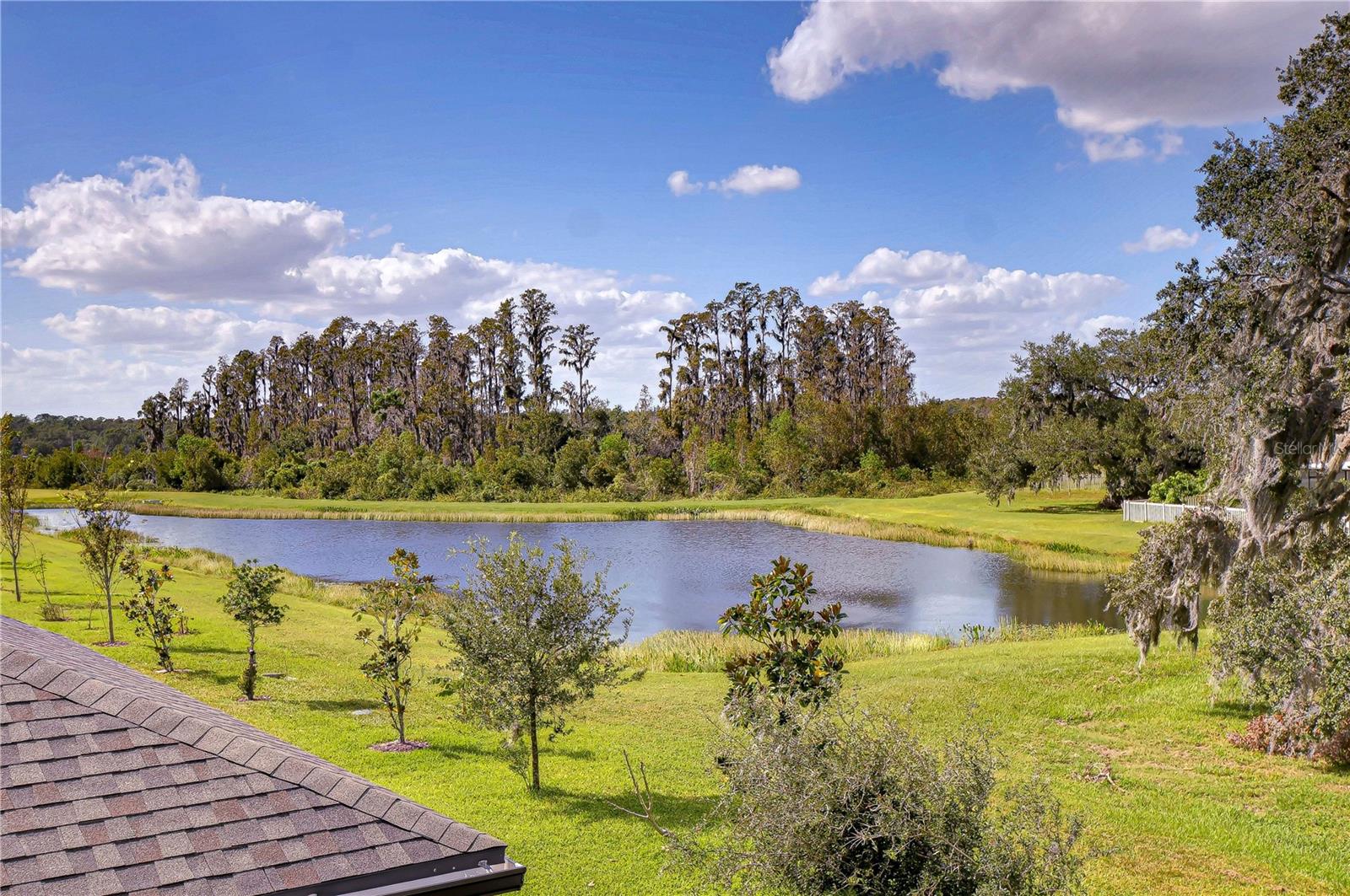 10330 STALLION FIELDS WAY, TAMPA, FL, 33647
