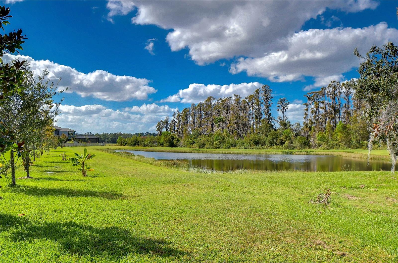 10330 STALLION FIELDS WAY, TAMPA, FL, 33647