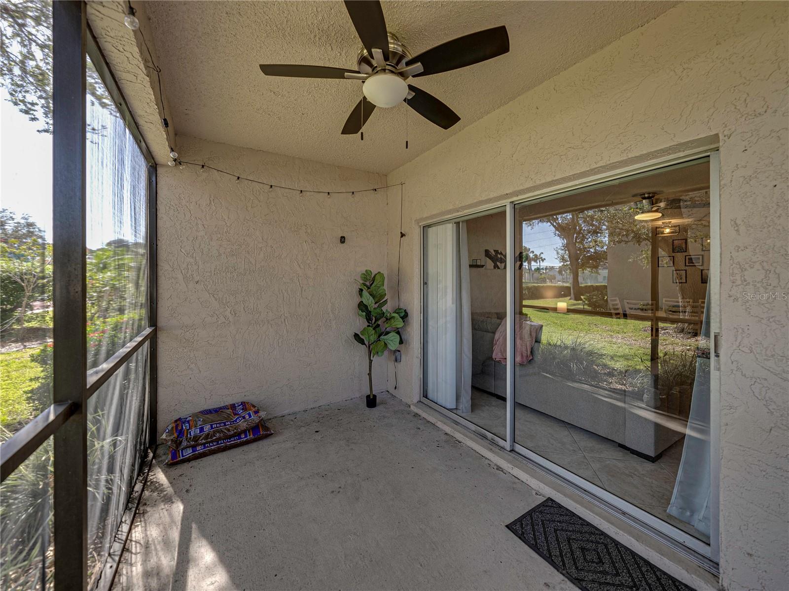 9700 STARKEY RD #312, SEMINOLE, FL, 33777