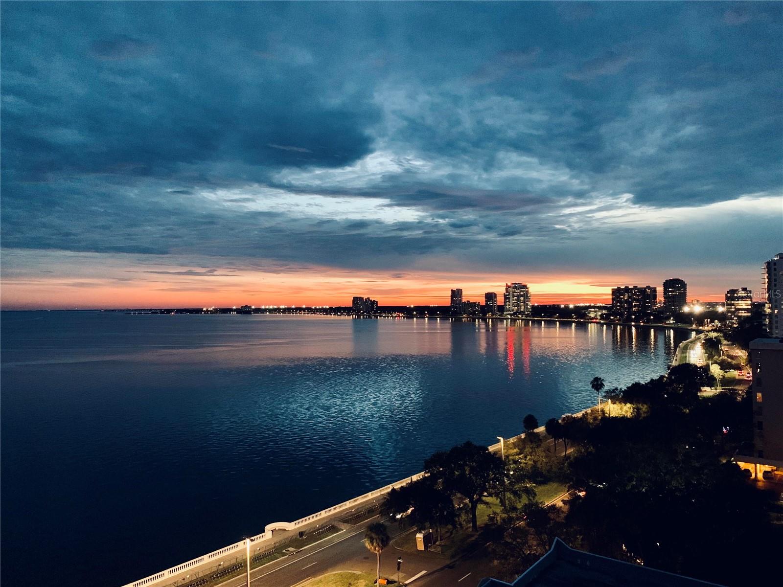 2413 BAYSHORE BLVD #1404, TAMPA, FL, 33629