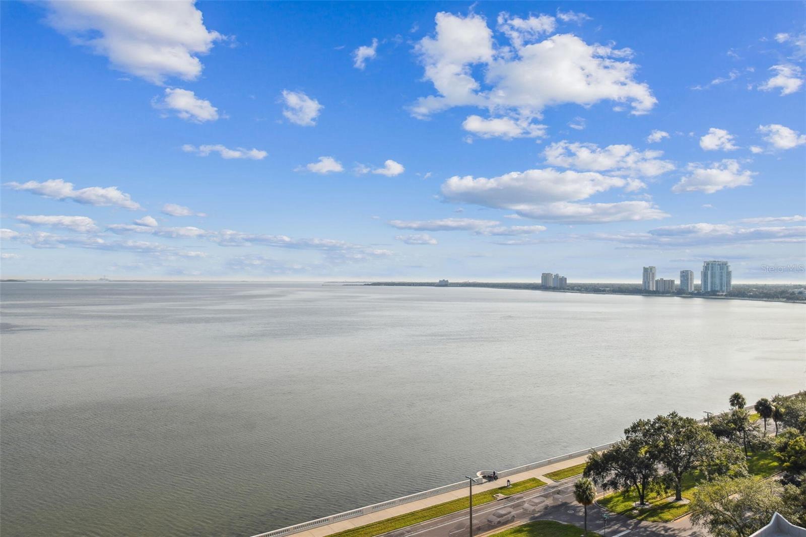 2413 BAYSHORE BLVD #1404, TAMPA, FL, 33629