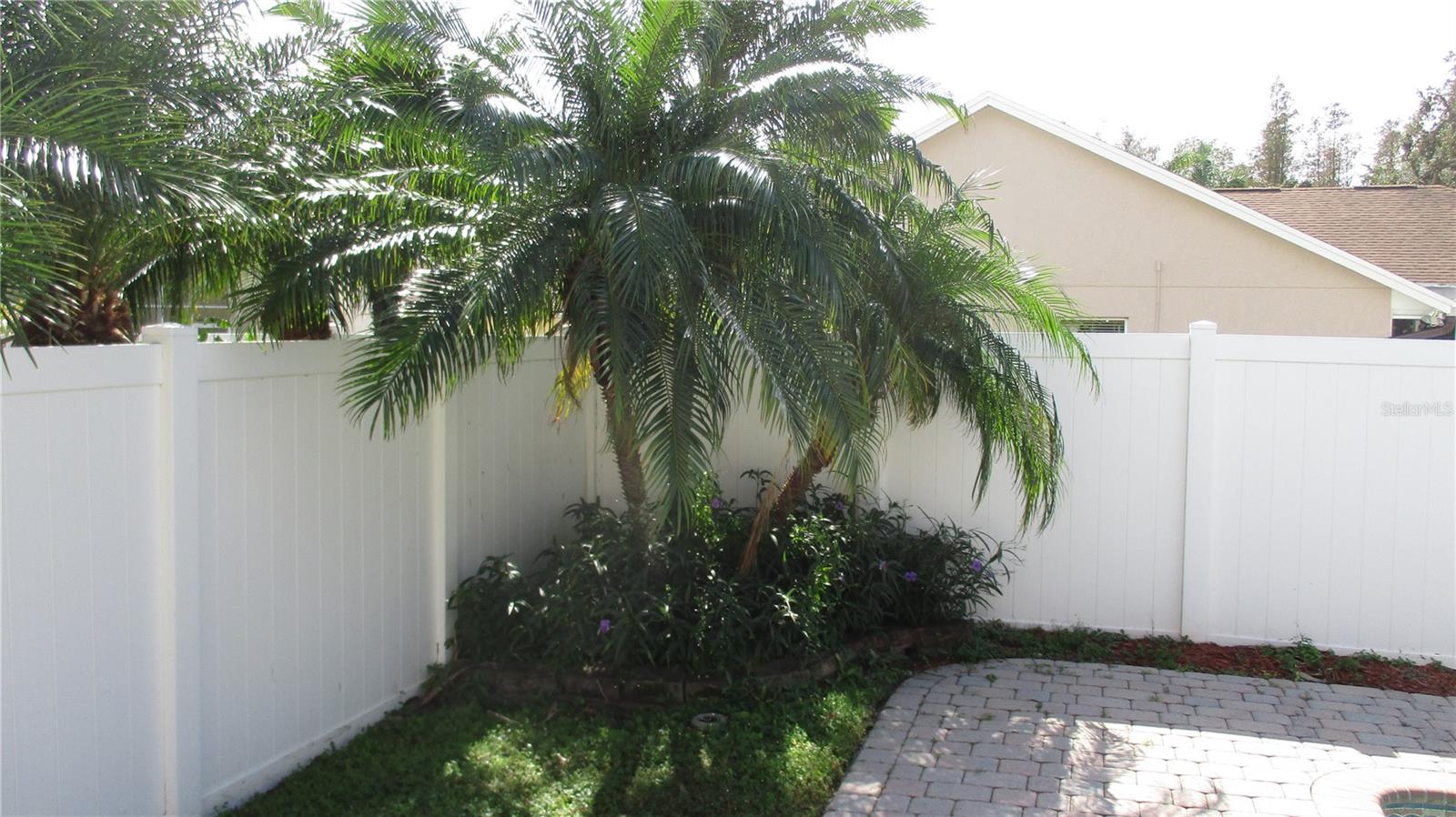 18516 AVOCET DR, LUTZ, FL, 33558