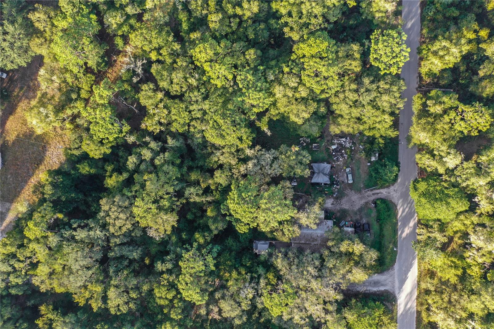 353 SISCO DIRT RD, SATSUMA, FL, 32189