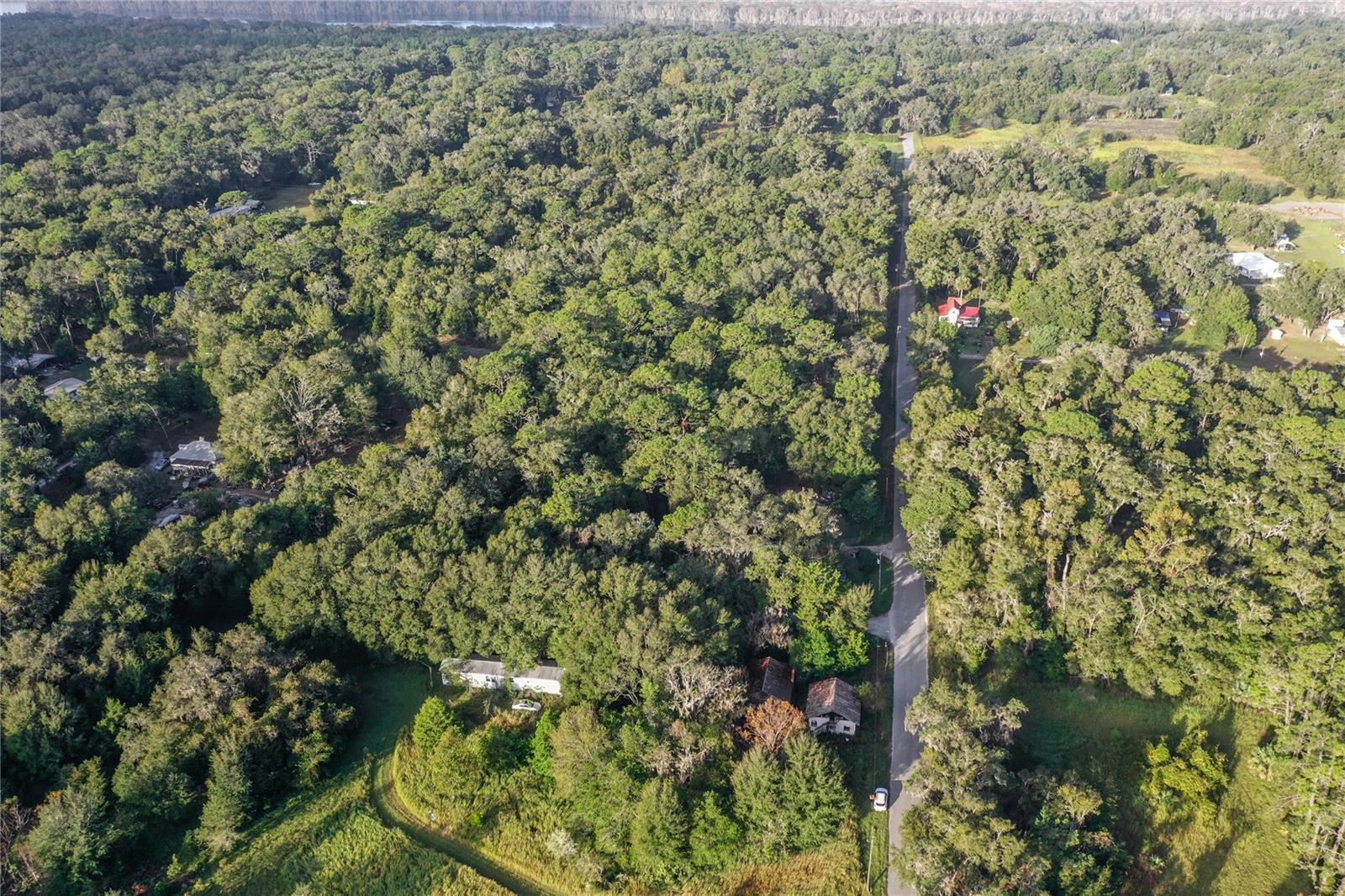 353 SISCO DIRT RD, SATSUMA, FL, 32189