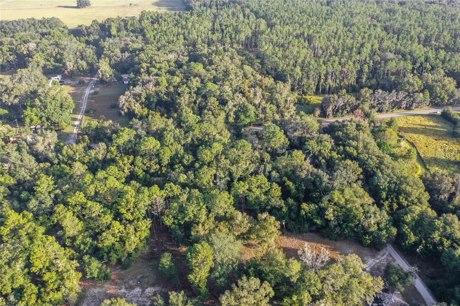 353 SISCO DIRT RD, SATSUMA, FL, 32189