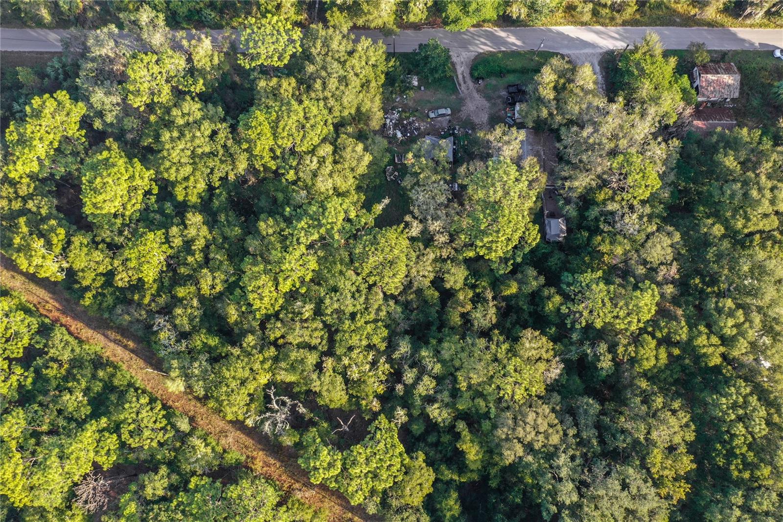 353 SISCO DIRT RD, SATSUMA, FL, 32189