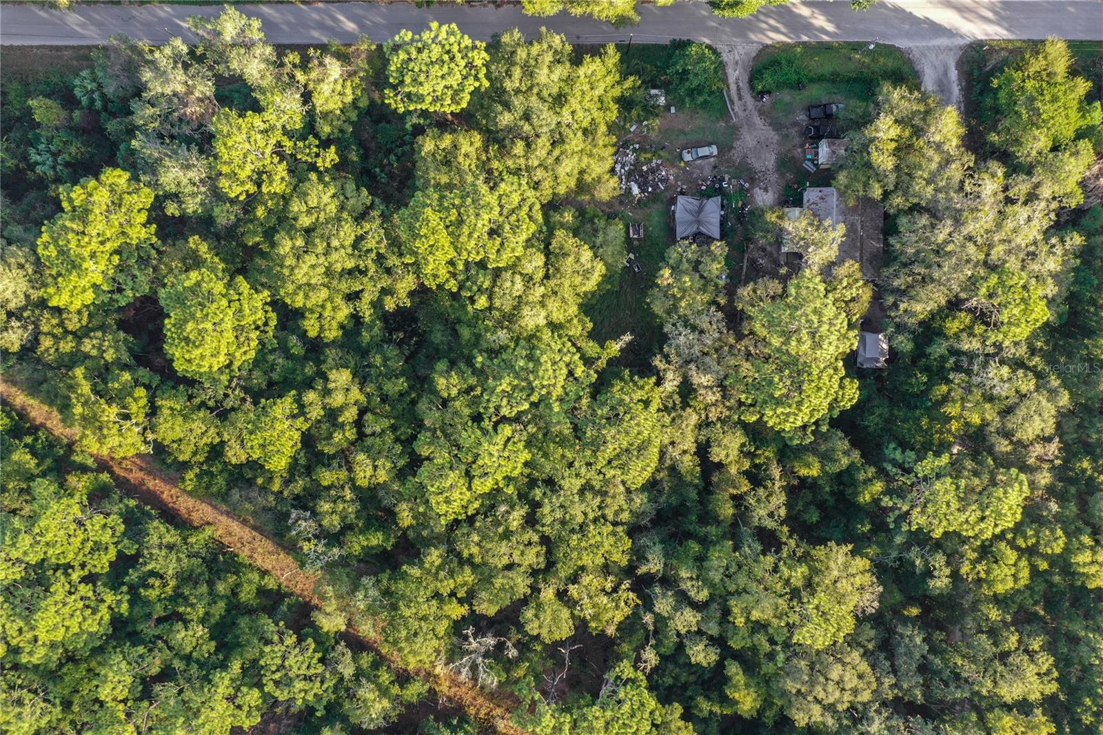 353 SISCO DIRT RD, SATSUMA, FL, 32189