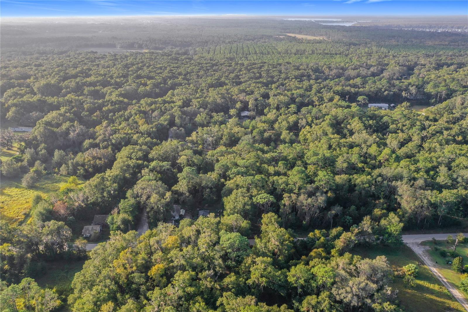 353 SISCO DIRT RD, SATSUMA, FL, 32189