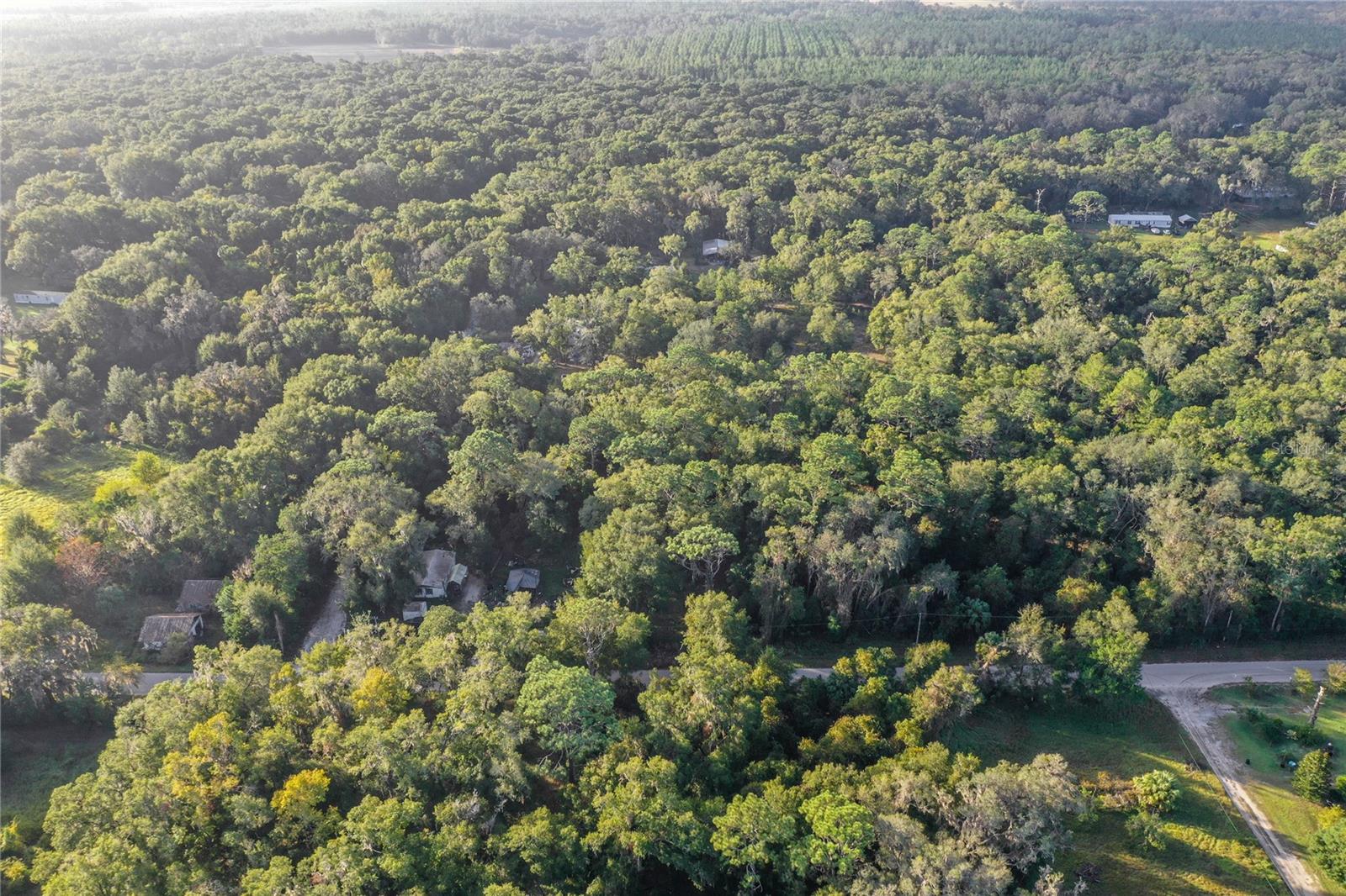 353 SISCO DIRT RD, SATSUMA, FL, 32189