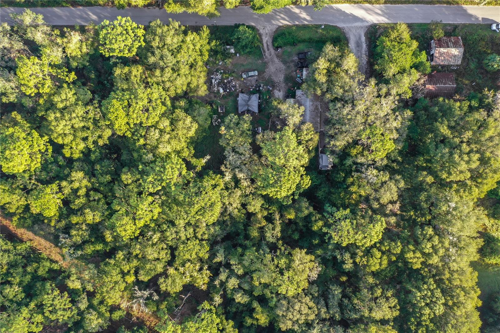 353 SISCO DIRT RD, SATSUMA, FL, 32189