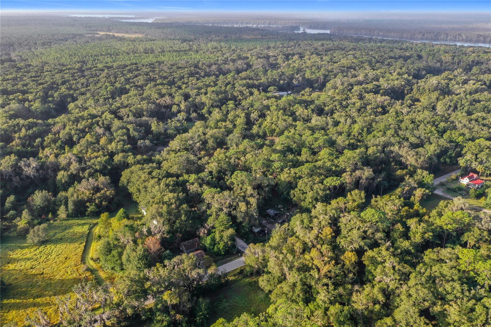 353 SISCO DIRT RD, SATSUMA, FL, 32189