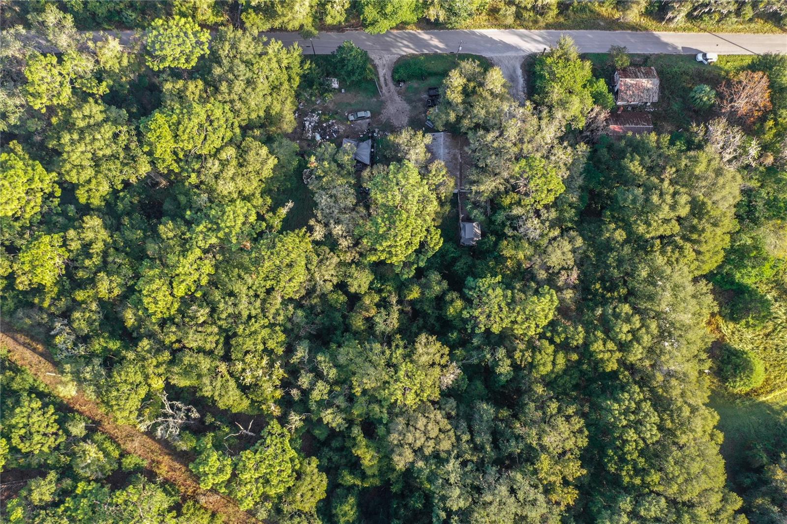 353 SISCO DIRT RD, SATSUMA, FL, 32189