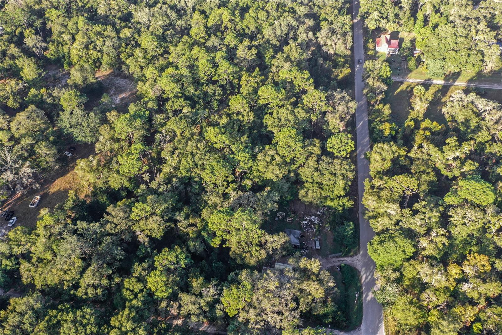 353 SISCO DIRT RD, SATSUMA, FL, 32189