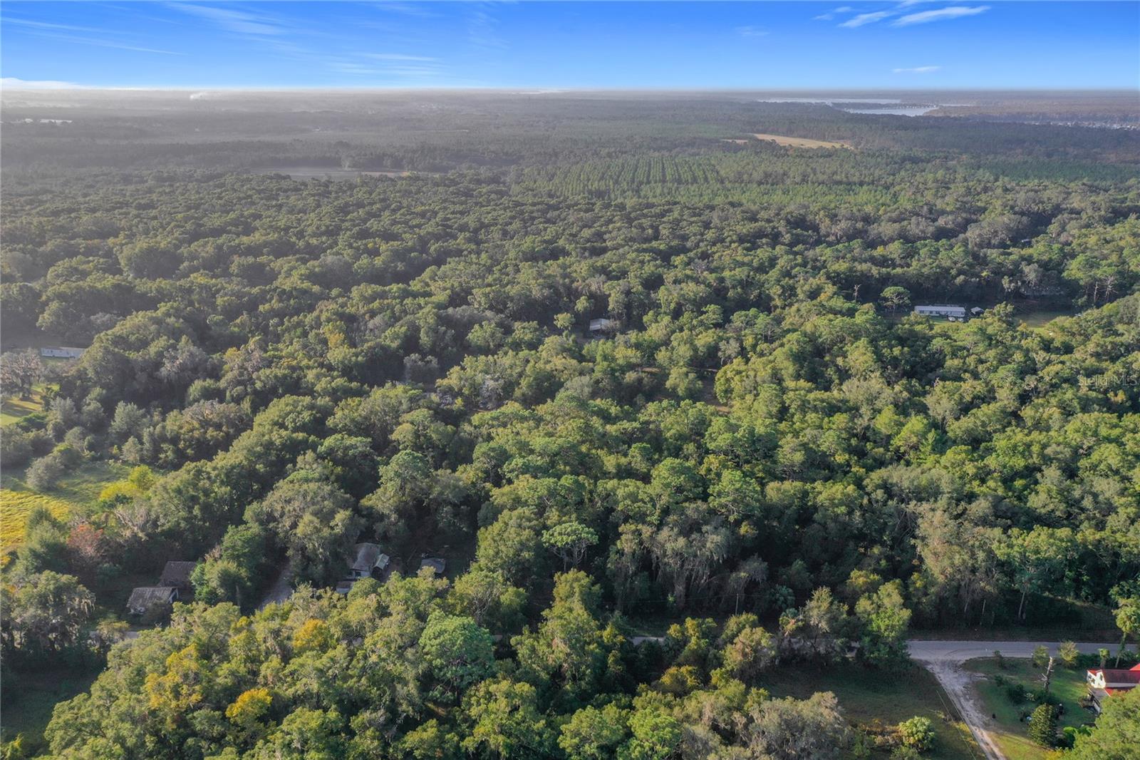 353 SISCO DIRT RD, SATSUMA, FL, 32189