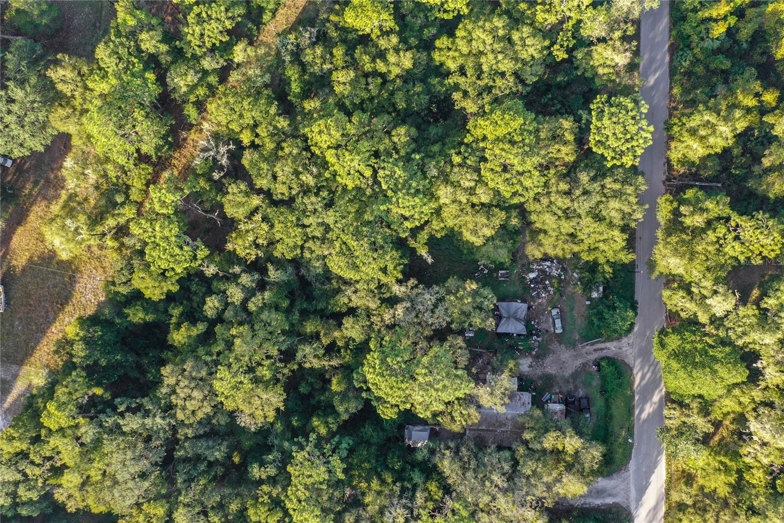 353 SISCO DIRT RD, SATSUMA, FL, 32189