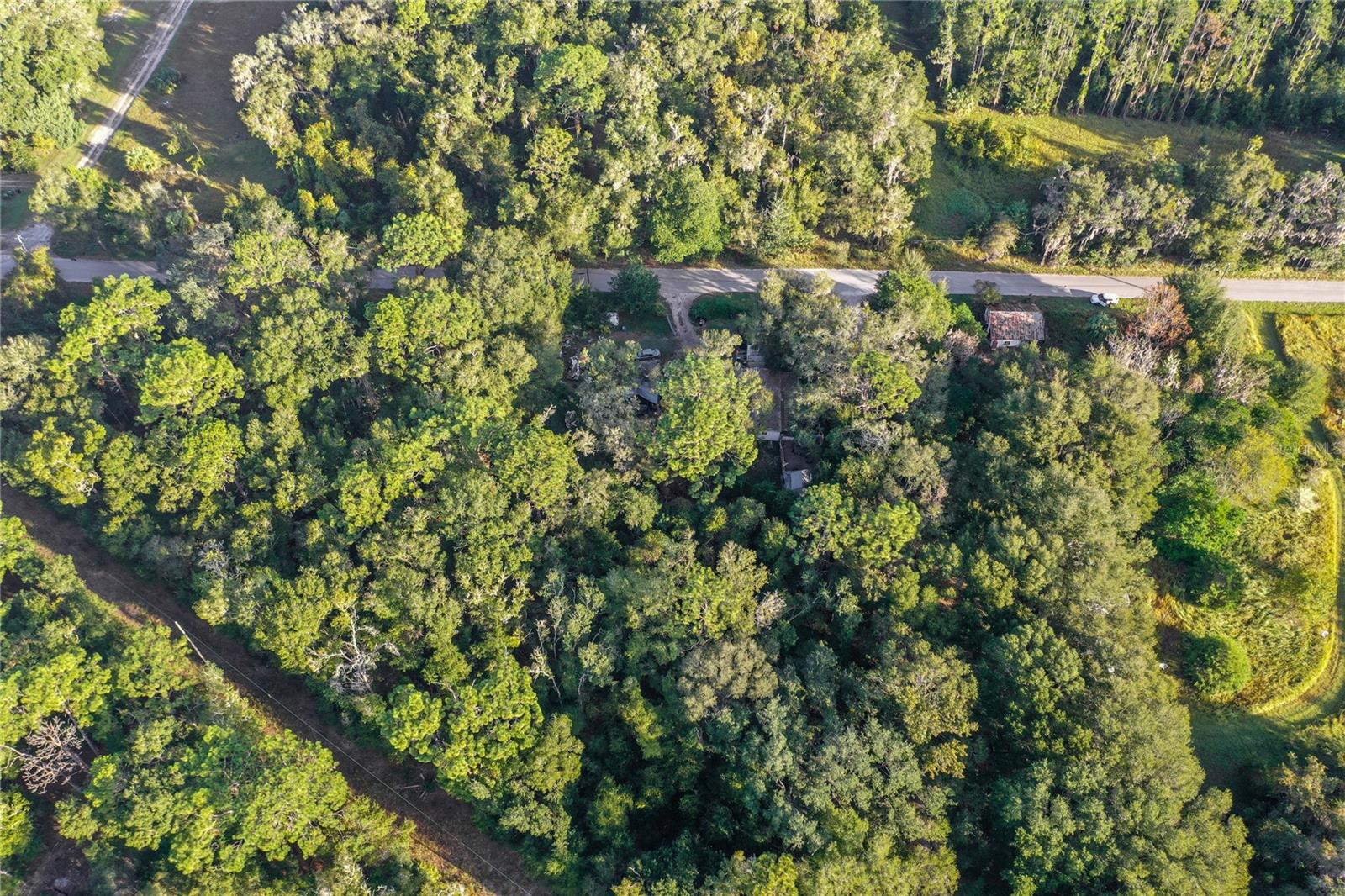 353 SISCO DIRT RD, SATSUMA, FL, 32189