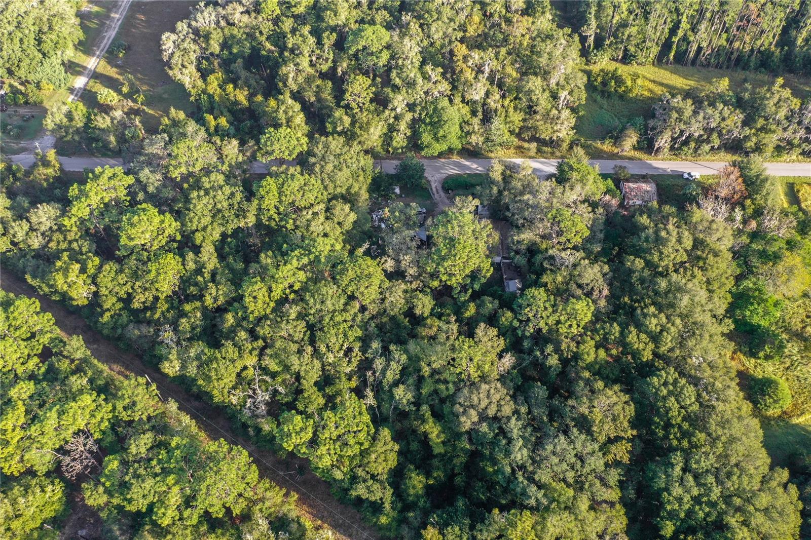 353 SISCO DIRT RD, SATSUMA, FL, 32189