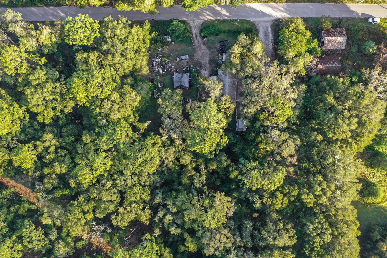 353 SISCO DIRT RD, SATSUMA, FL, 32189