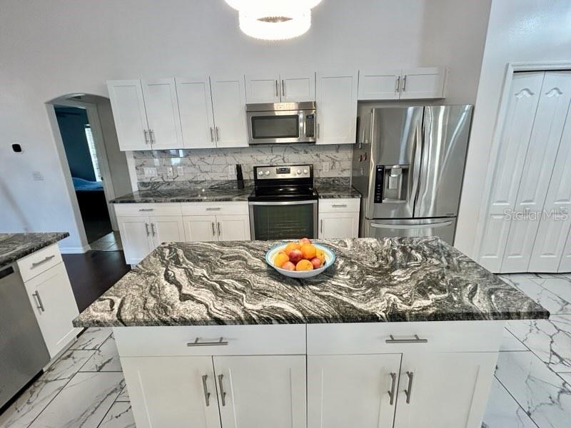 10923 SW 38TH AVE, OCALA, FL, 34476