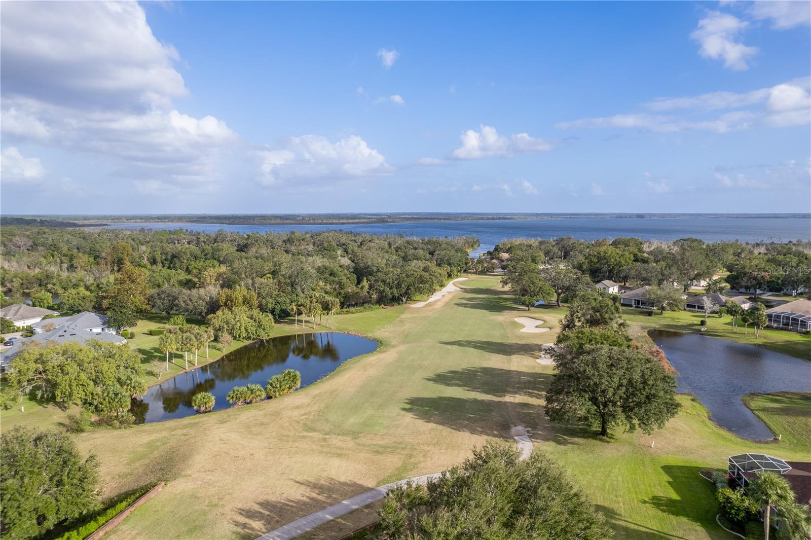 38748 LAKEVIEW WALK, LADY LAKE, FL, 32159