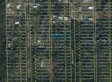1020 SABLE PALM DR, CHRISTMAS, FL, 32709