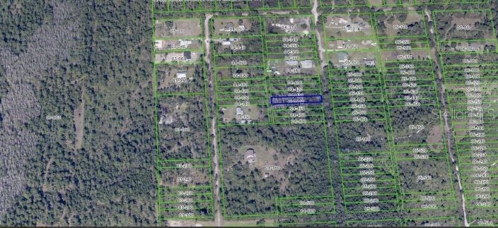 1020 SABLE PALM DR, CHRISTMAS, FL, 32709