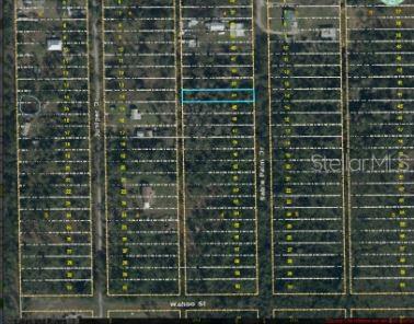 1020 SABLE PALM DR, CHRISTMAS, FL, 32709