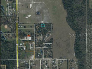 1349 N FORT CHRISTMAS RD, CHRISTMAS, FL, 32709