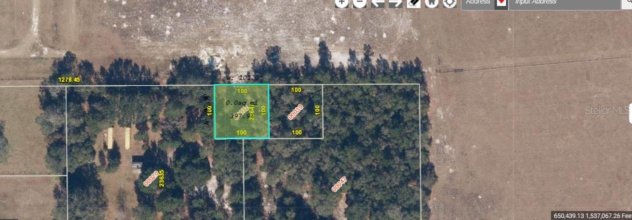 1349 N FORT CHRISTMAS RD, CHRISTMAS, FL, 32709