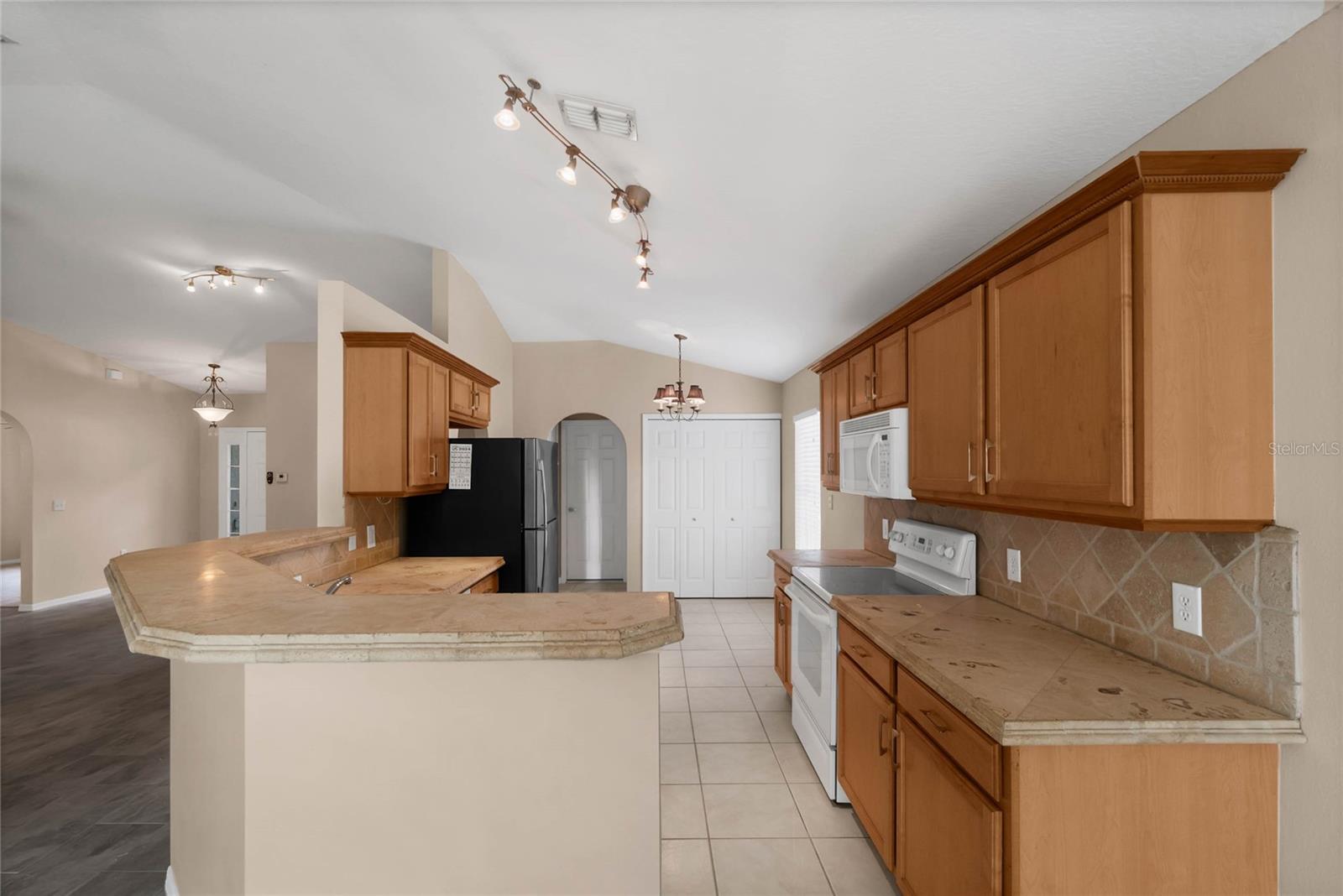 217 WINDING COVE AVE, APOPKA, FL, 32703