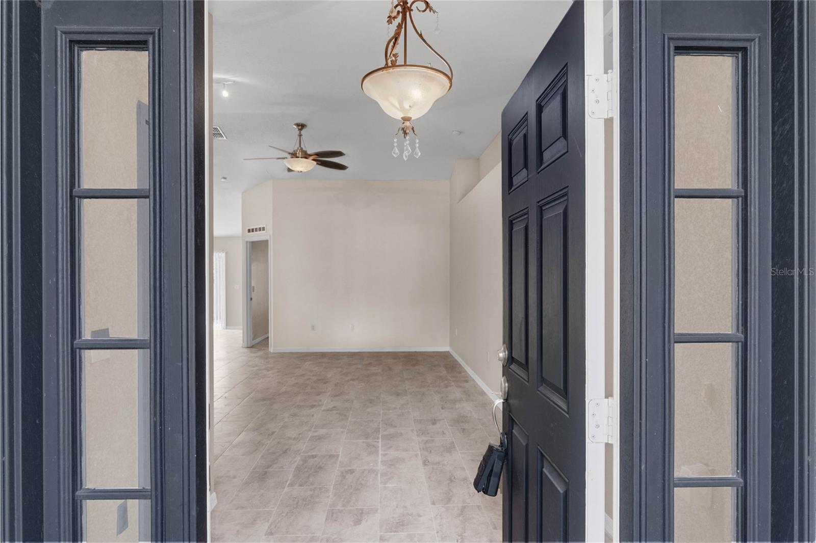 217 WINDING COVE AVE, APOPKA, FL, 32703