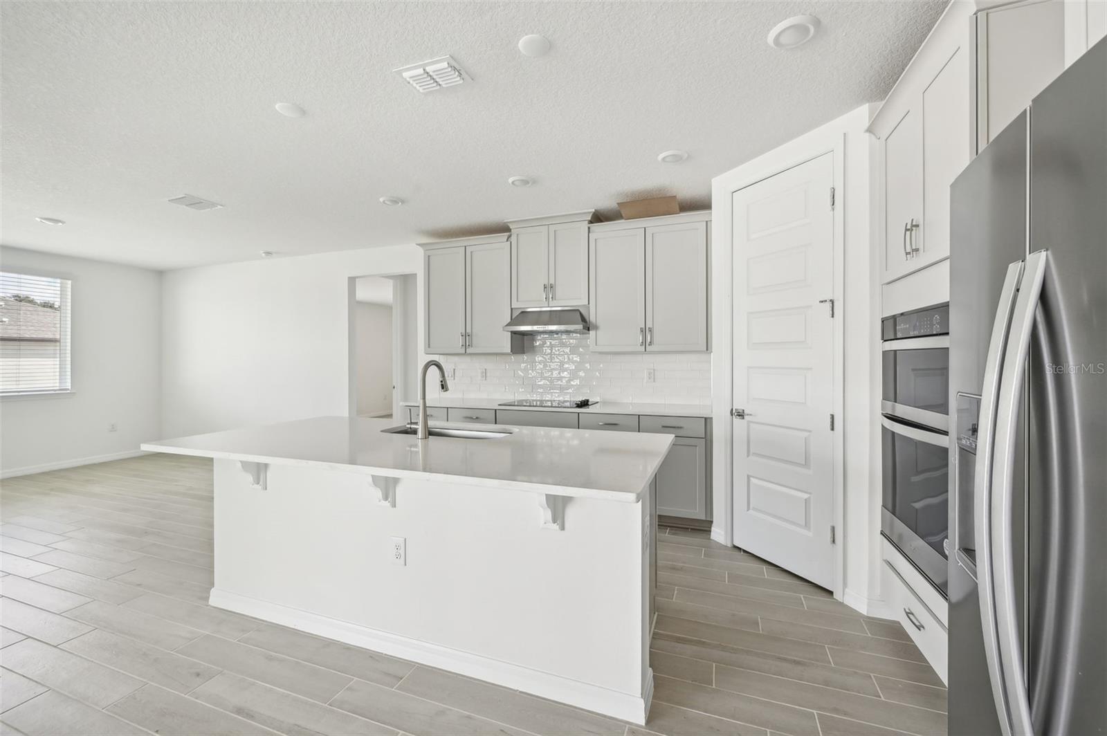 14006 GINNIE SPRINGS WAY, PARRISH, FL, 34219