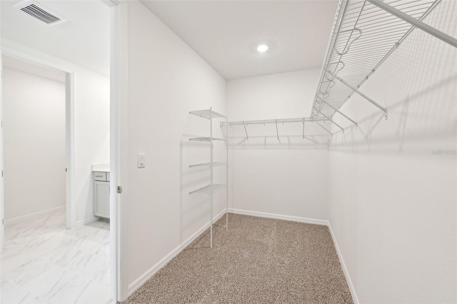 14006 GINNIE SPRINGS WAY, PARRISH, FL, 34219