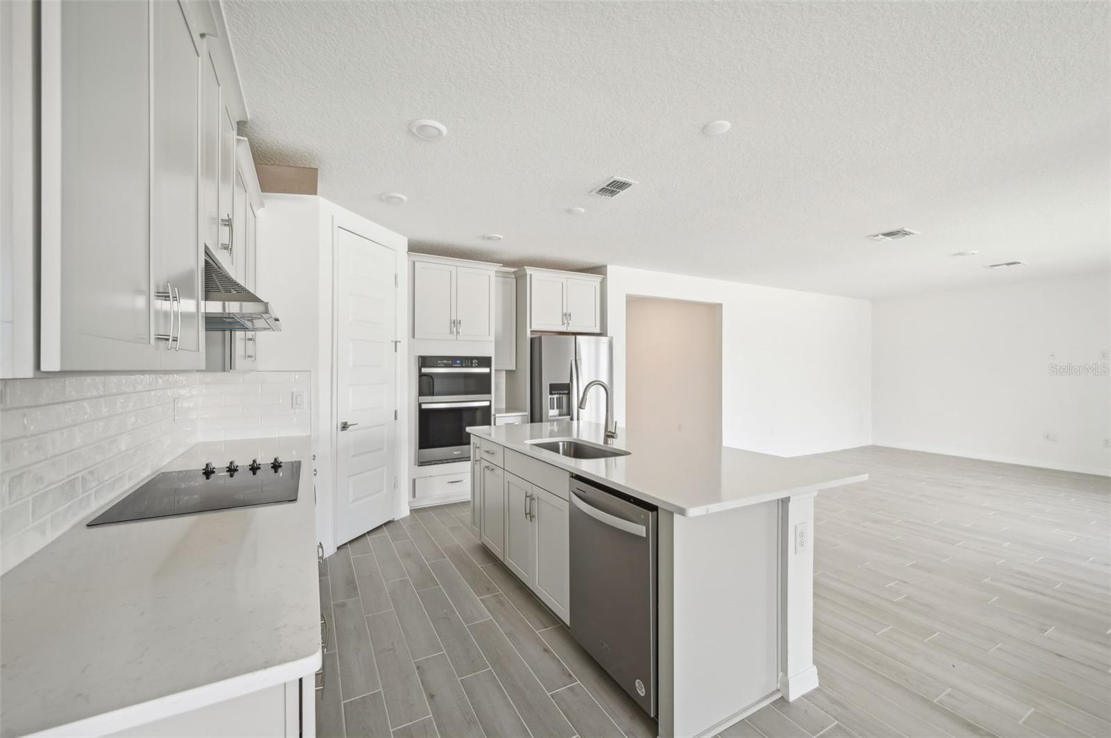 14006 GINNIE SPRINGS WAY, PARRISH, FL, 34219