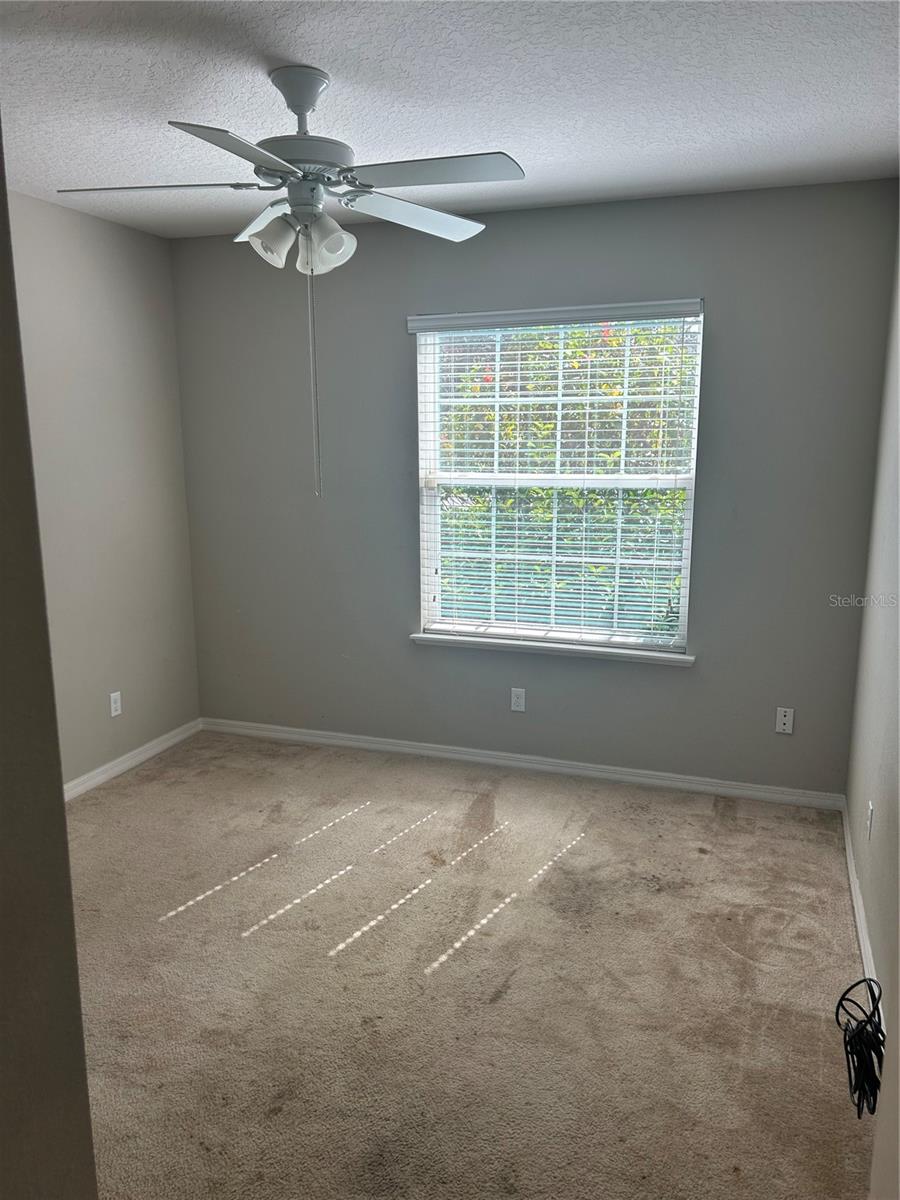 15311 SCORPIO ST, MASCOTTE, FL, 34753