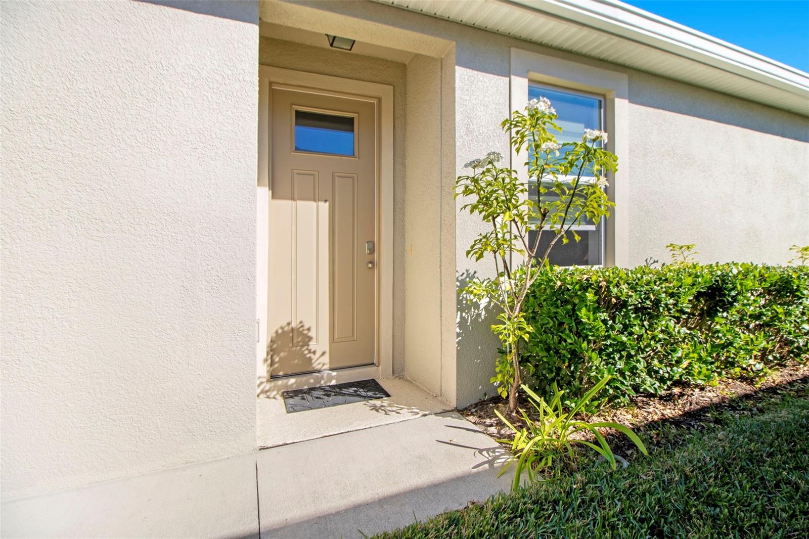 7733 TIMBERVIEW LOOP, WESLEY CHAPEL, FL, 33545