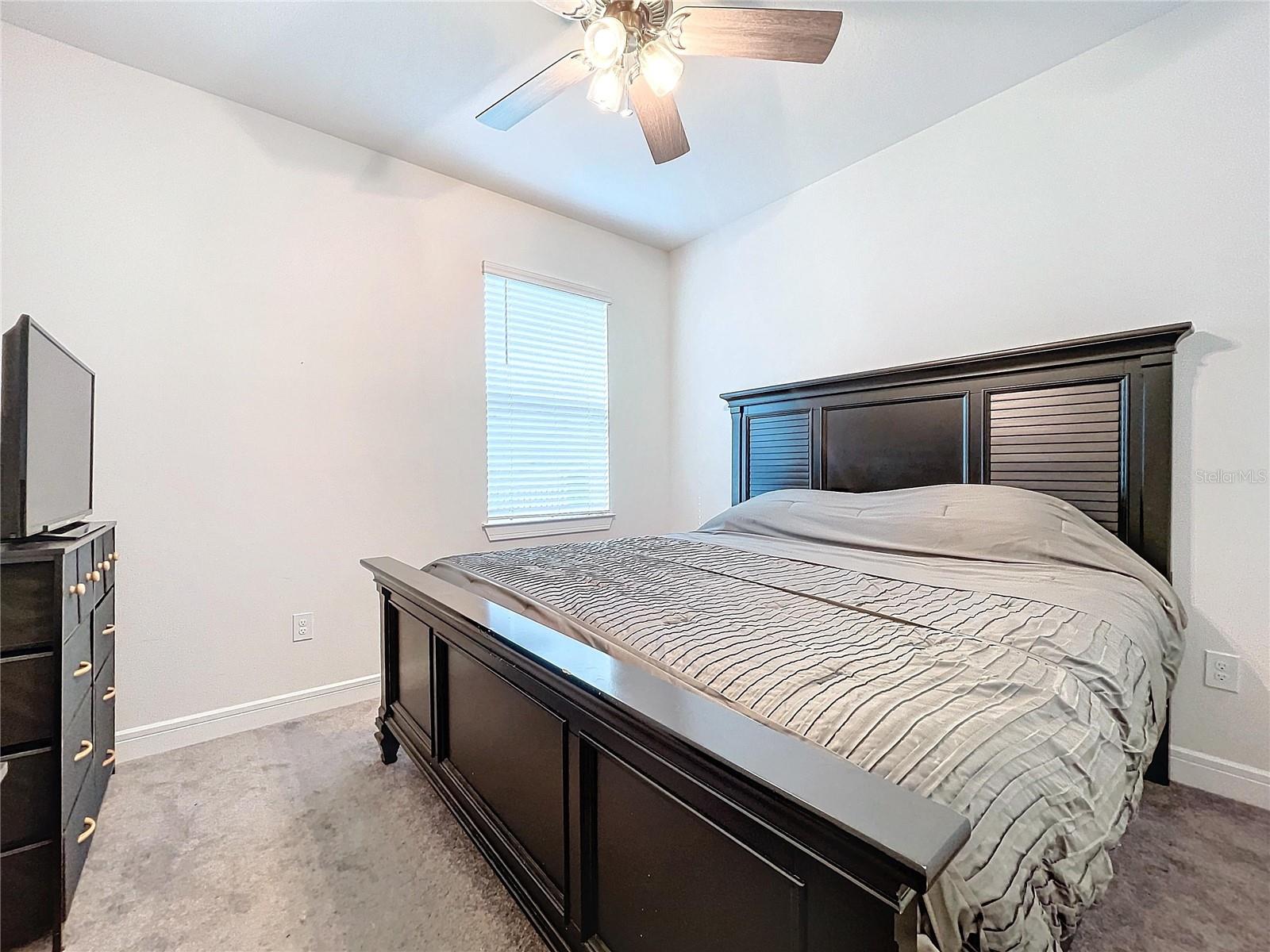 6119 BRADFORD WOODS DR, ZEPHYRHILLS, FL, 33542
