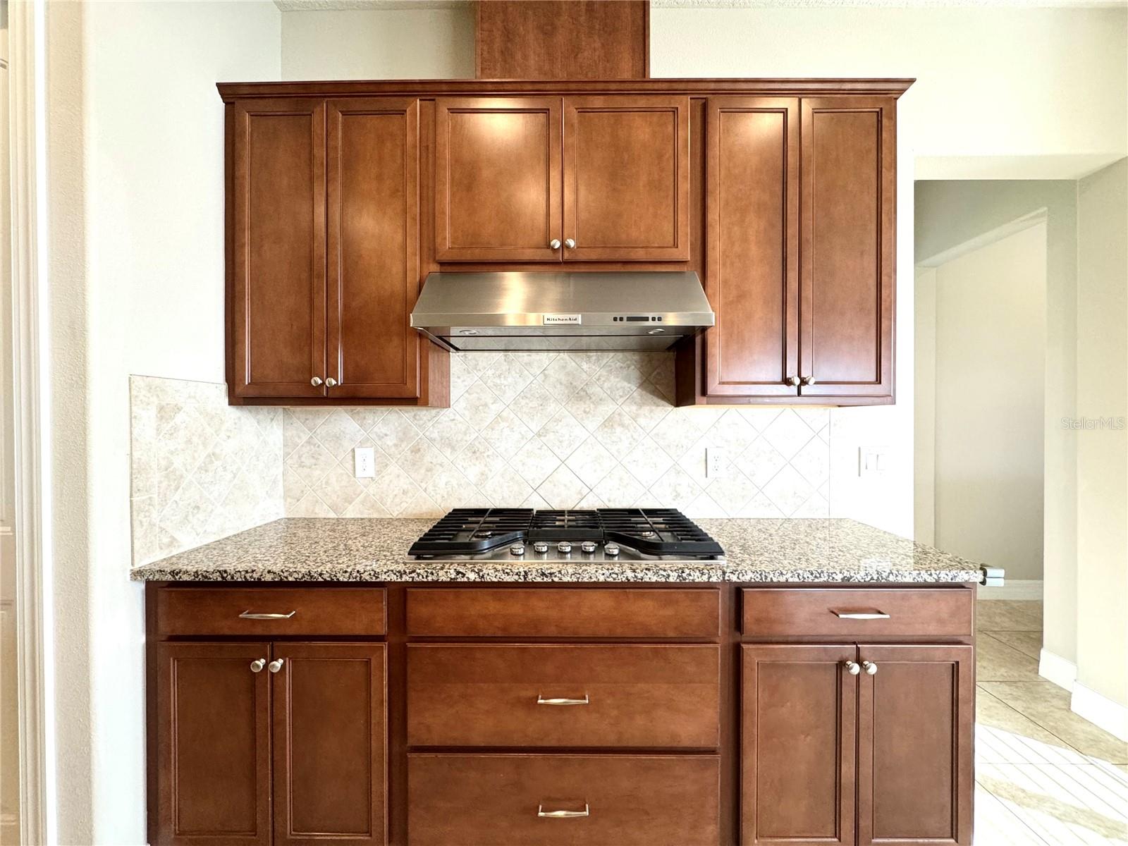 11328 LEMON LAKE BLVD, ORLANDO, FL, 32836