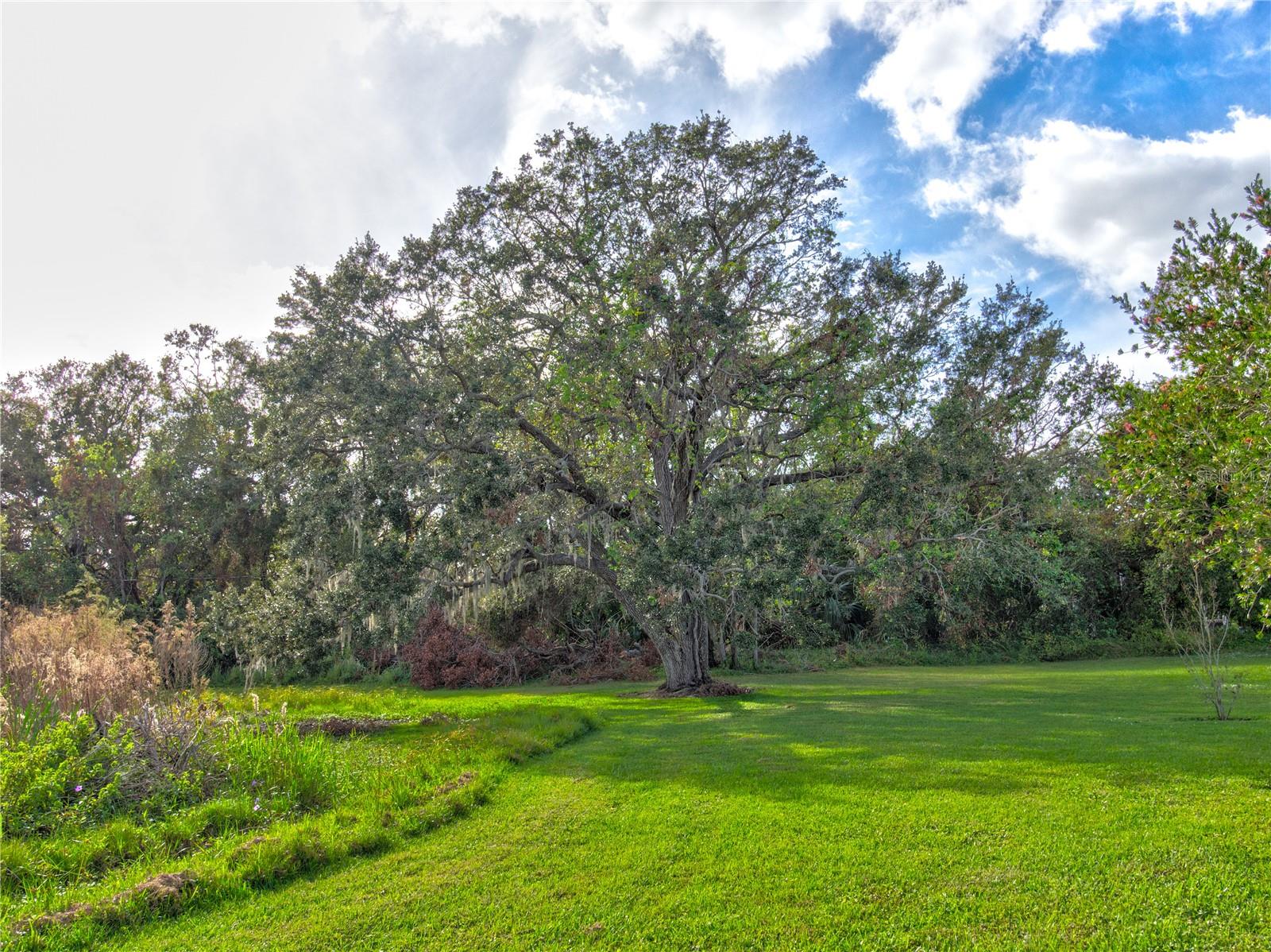 8676 FANTASIA PARK WAY, RIVERVIEW, FL, 33578
