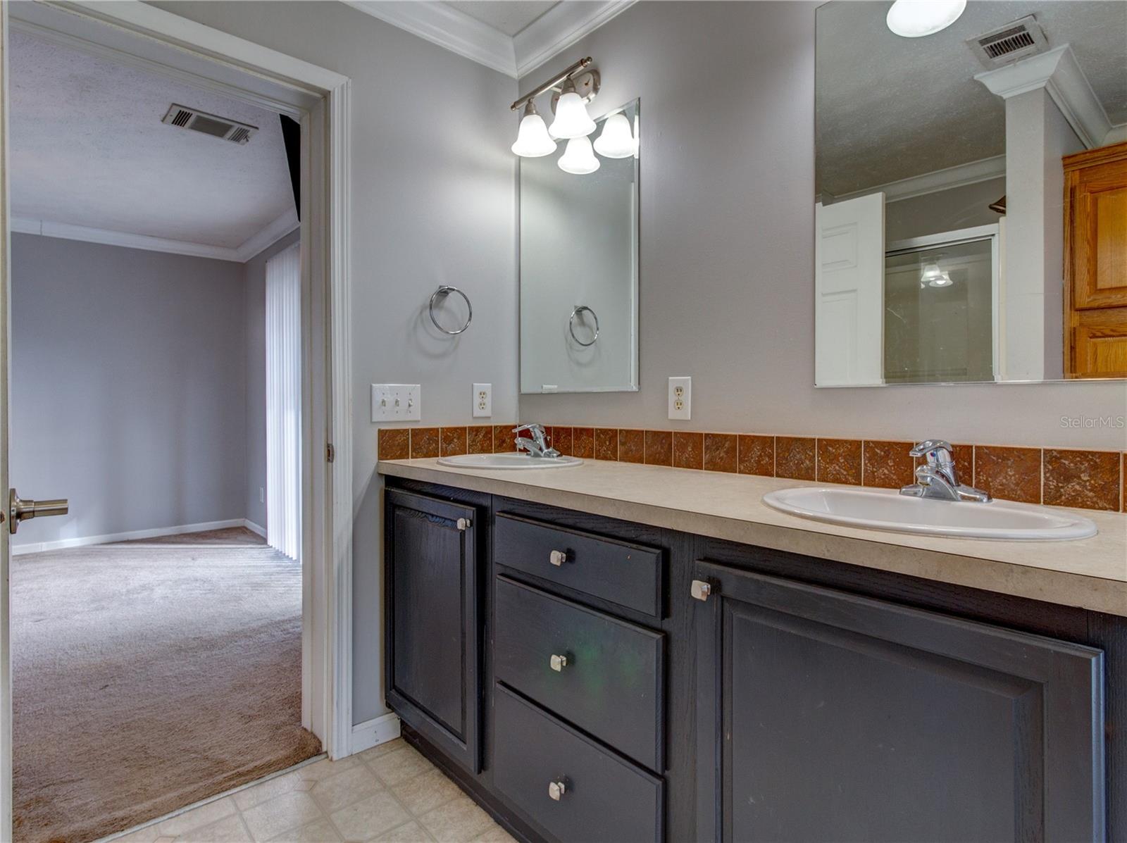 8676 FANTASIA PARK WAY, RIVERVIEW, FL, 33578