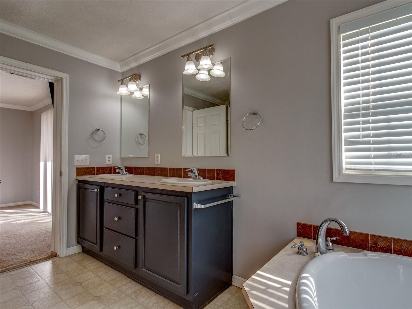 8676 FANTASIA PARK WAY, RIVERVIEW, FL, 33578