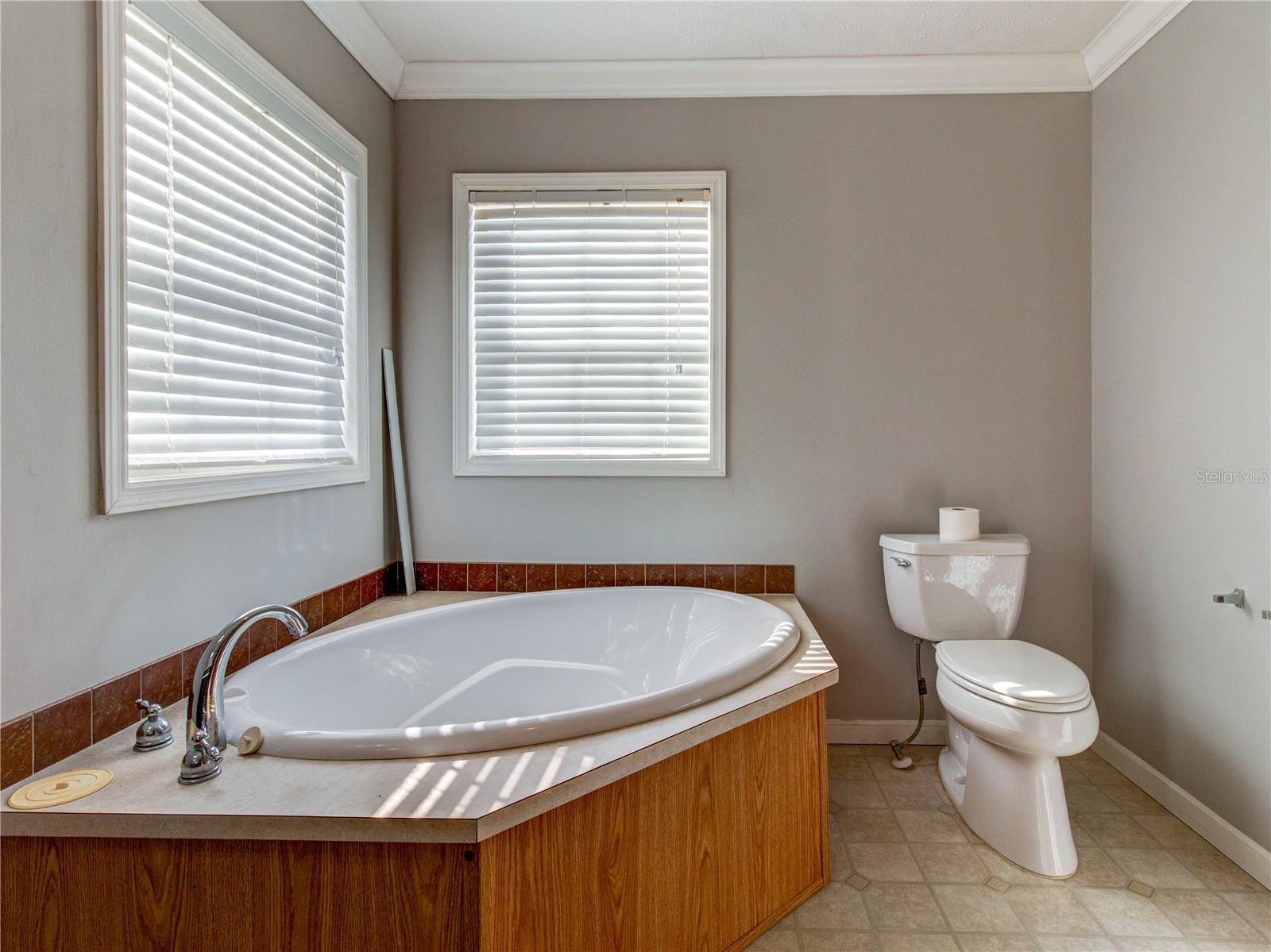 8676 FANTASIA PARK WAY, RIVERVIEW, FL, 33578