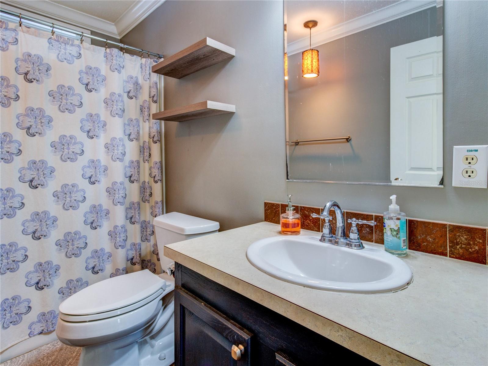8676 FANTASIA PARK WAY, RIVERVIEW, FL, 33578