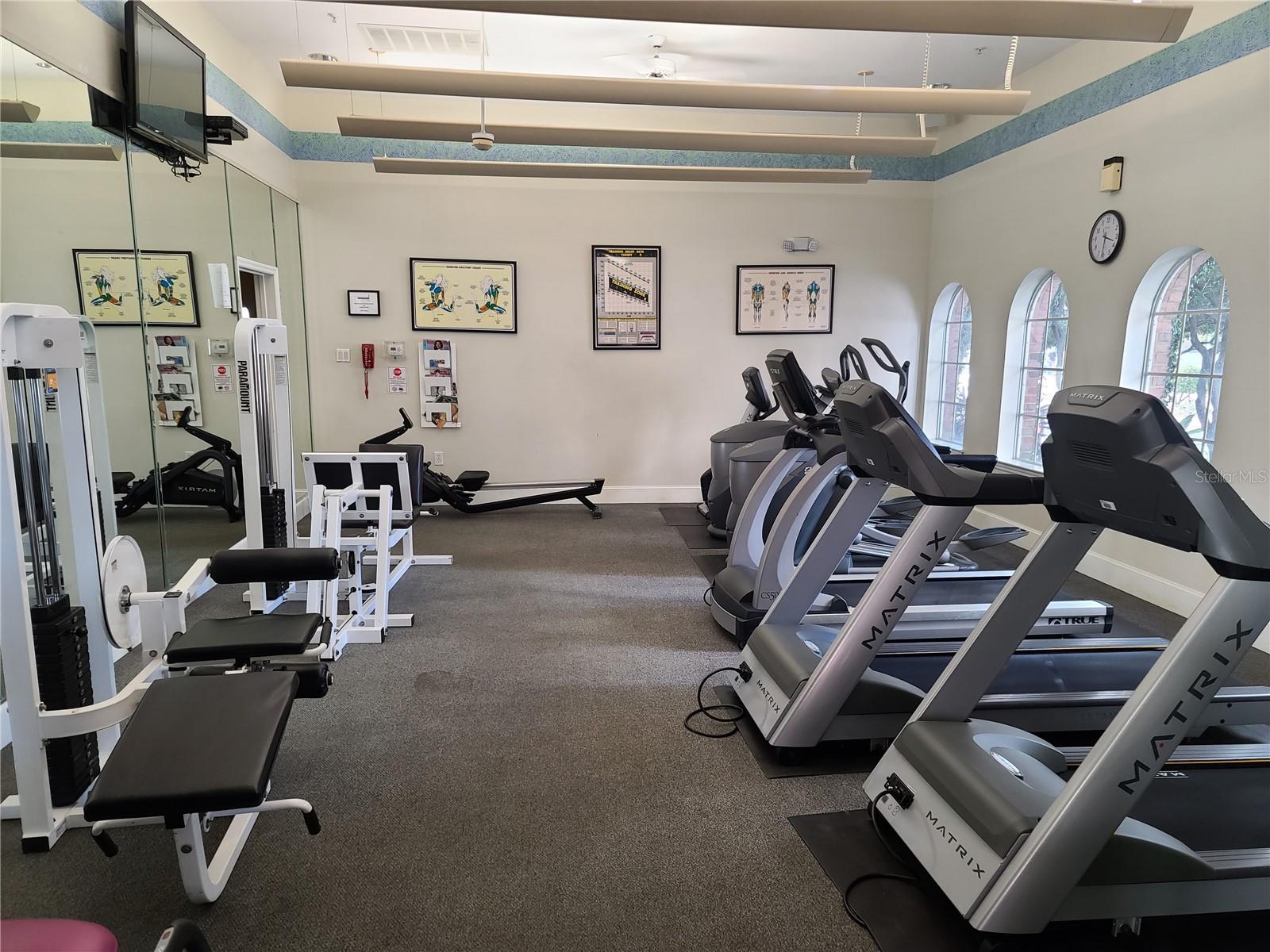 501 KNIGHTS RUN AVE #1337, TAMPA, FL, 33602