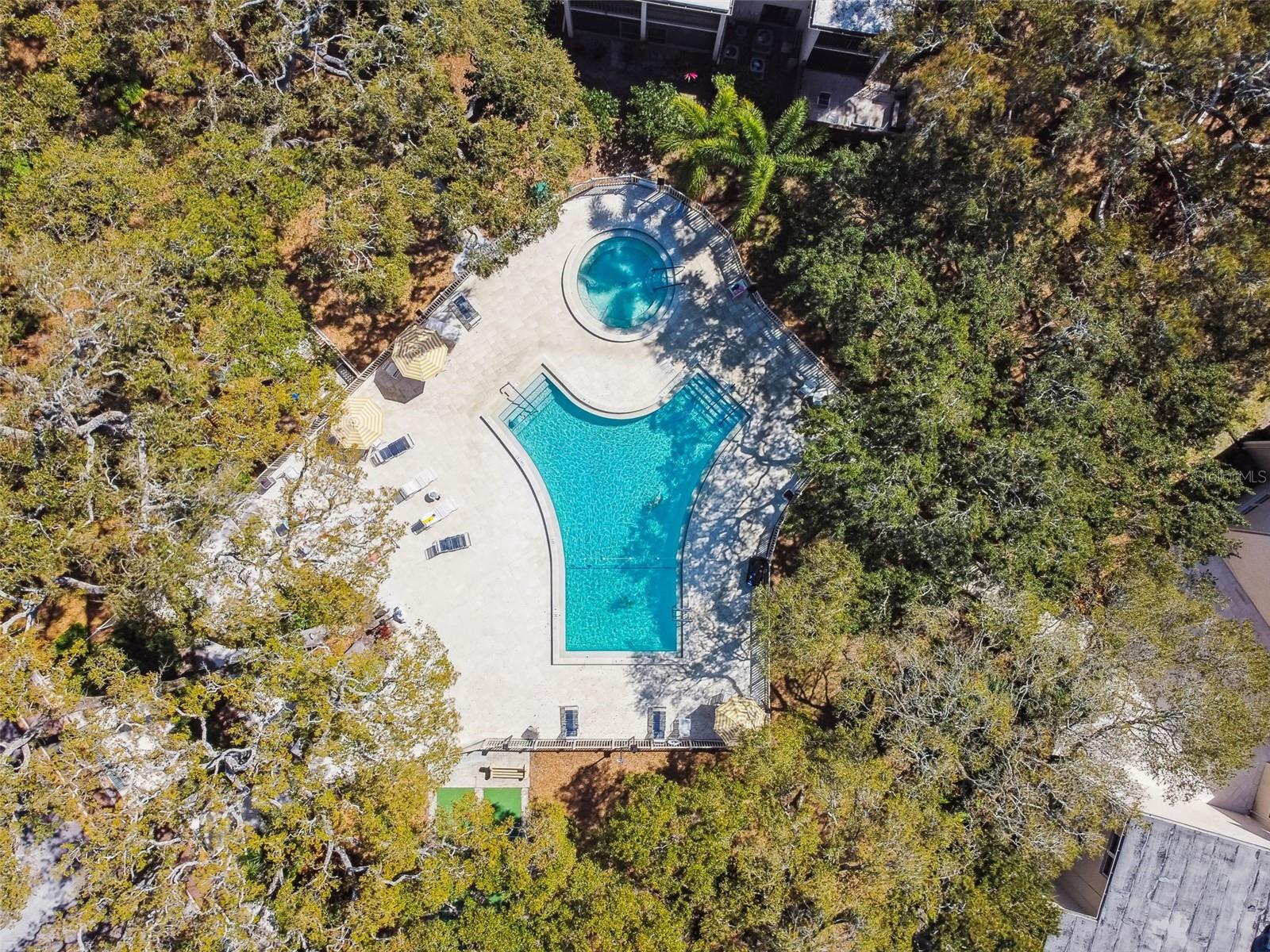 820 VIRGINIA ST #202, DUNEDIN, FL, 34698
