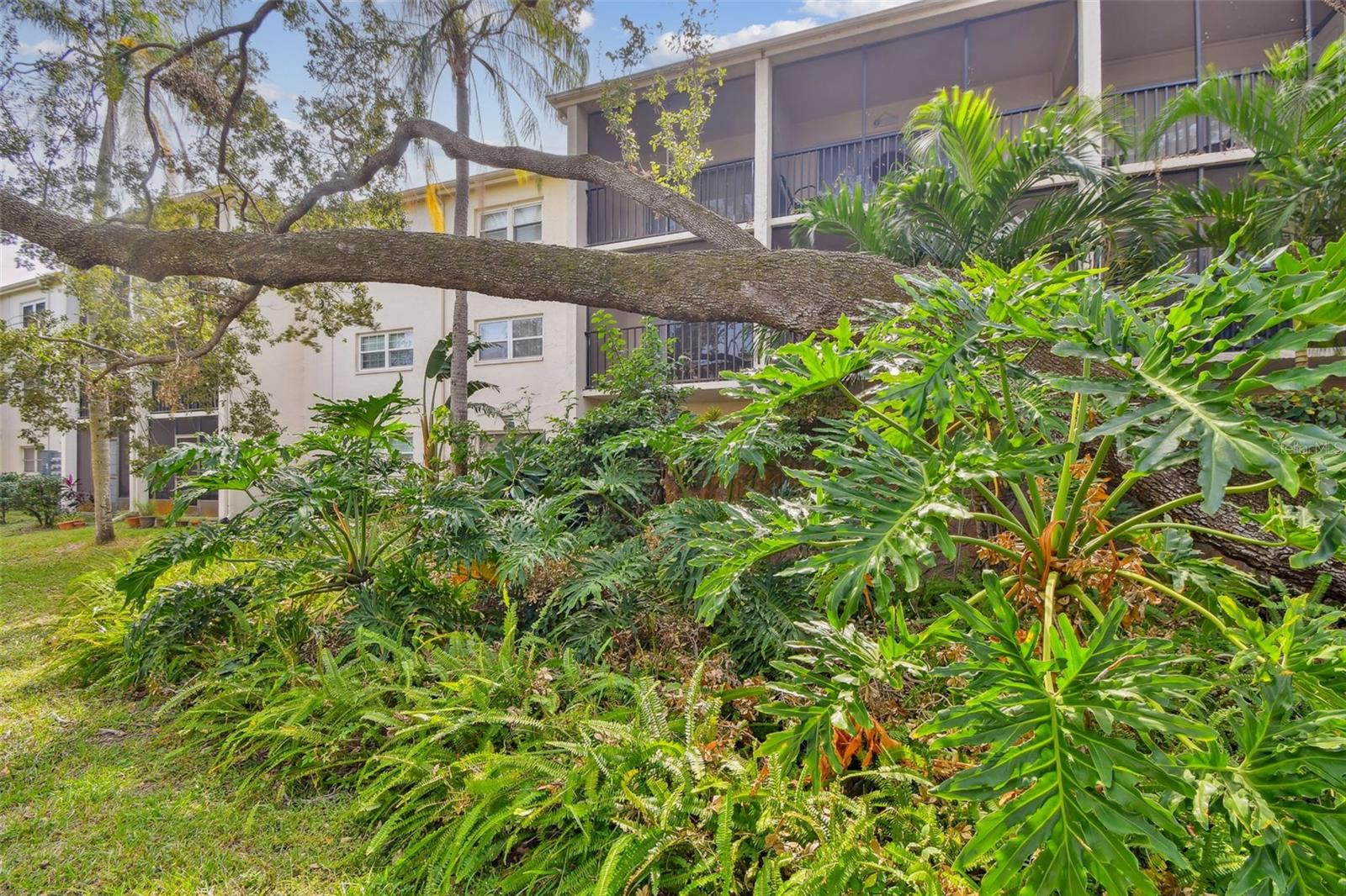 820 VIRGINIA ST #202, DUNEDIN, FL, 34698