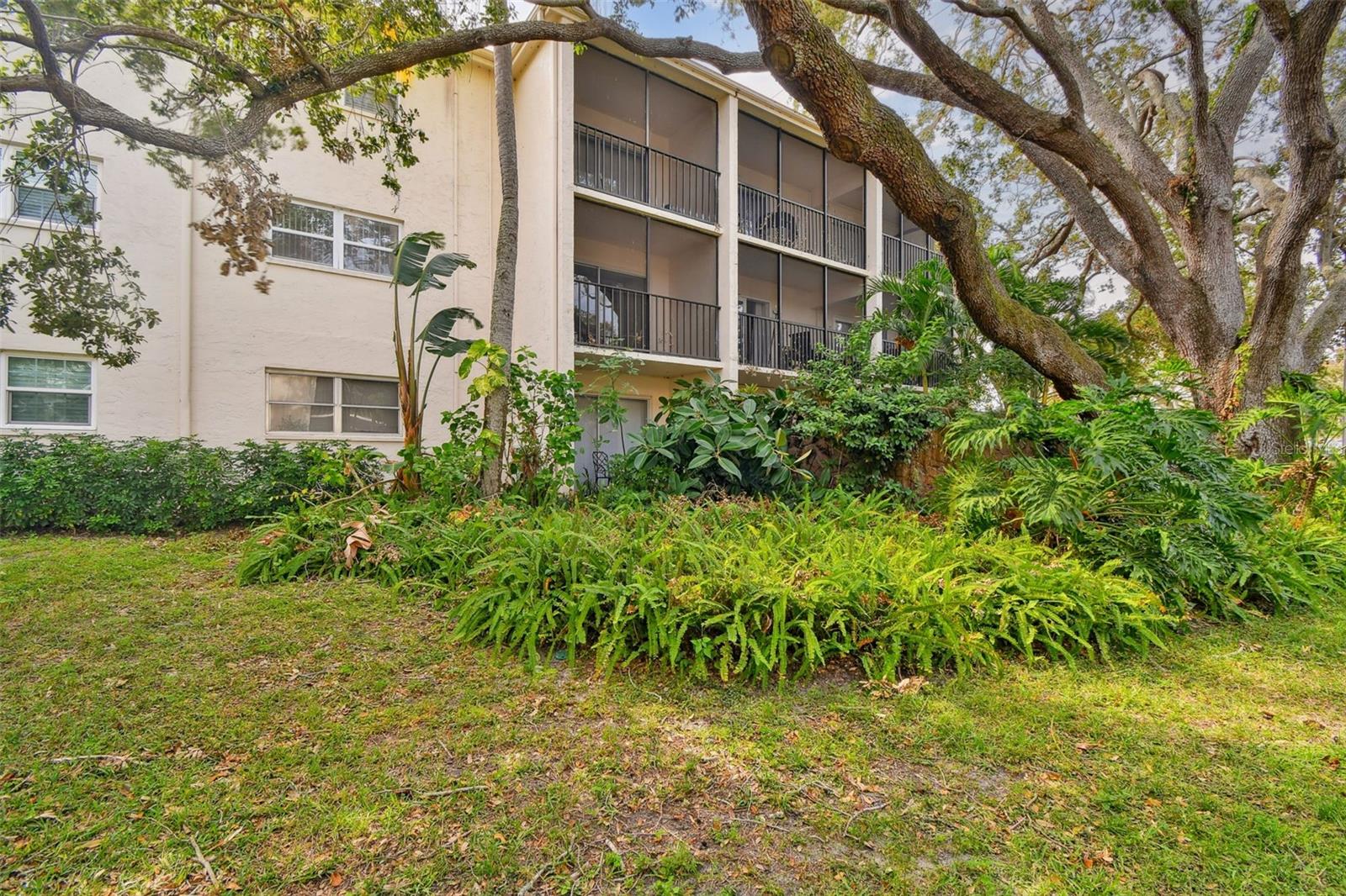 820 VIRGINIA ST #202, DUNEDIN, FL, 34698