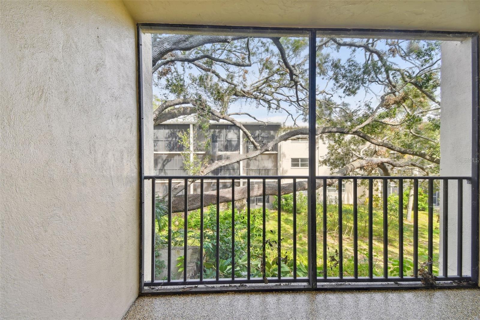 820 VIRGINIA ST #202, DUNEDIN, FL, 34698