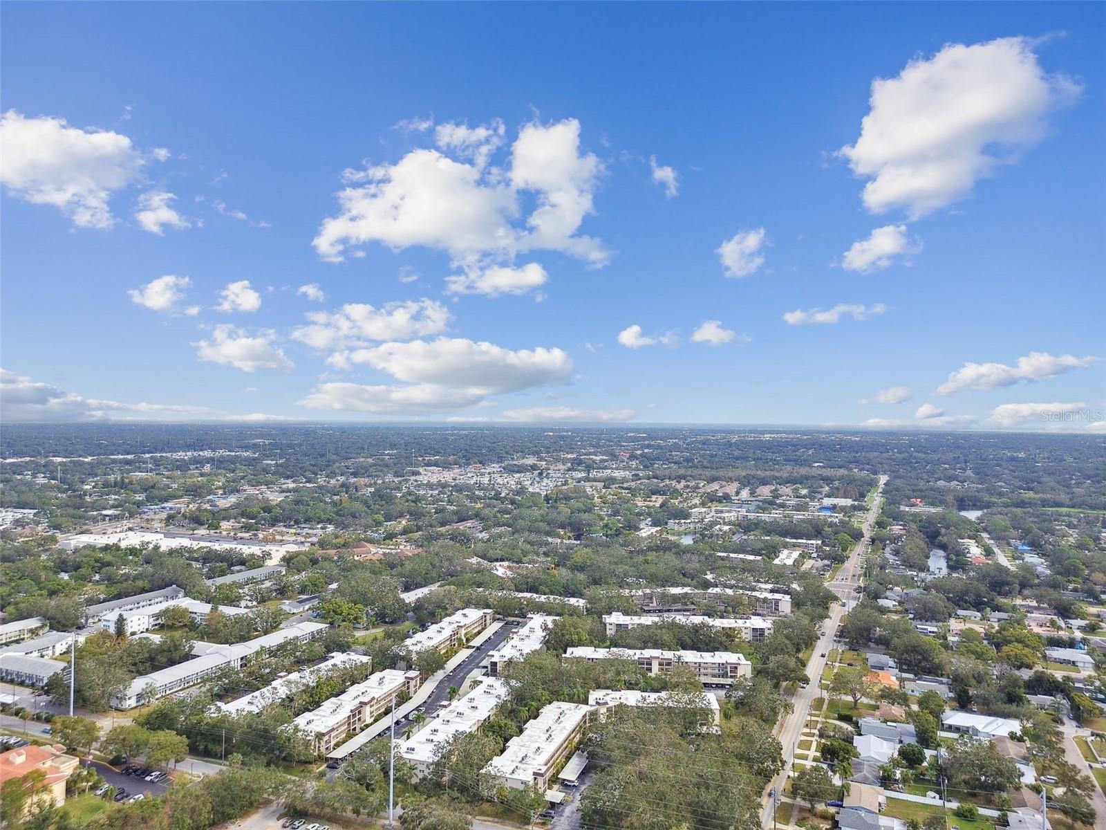 820 VIRGINIA ST #202, DUNEDIN, FL, 34698