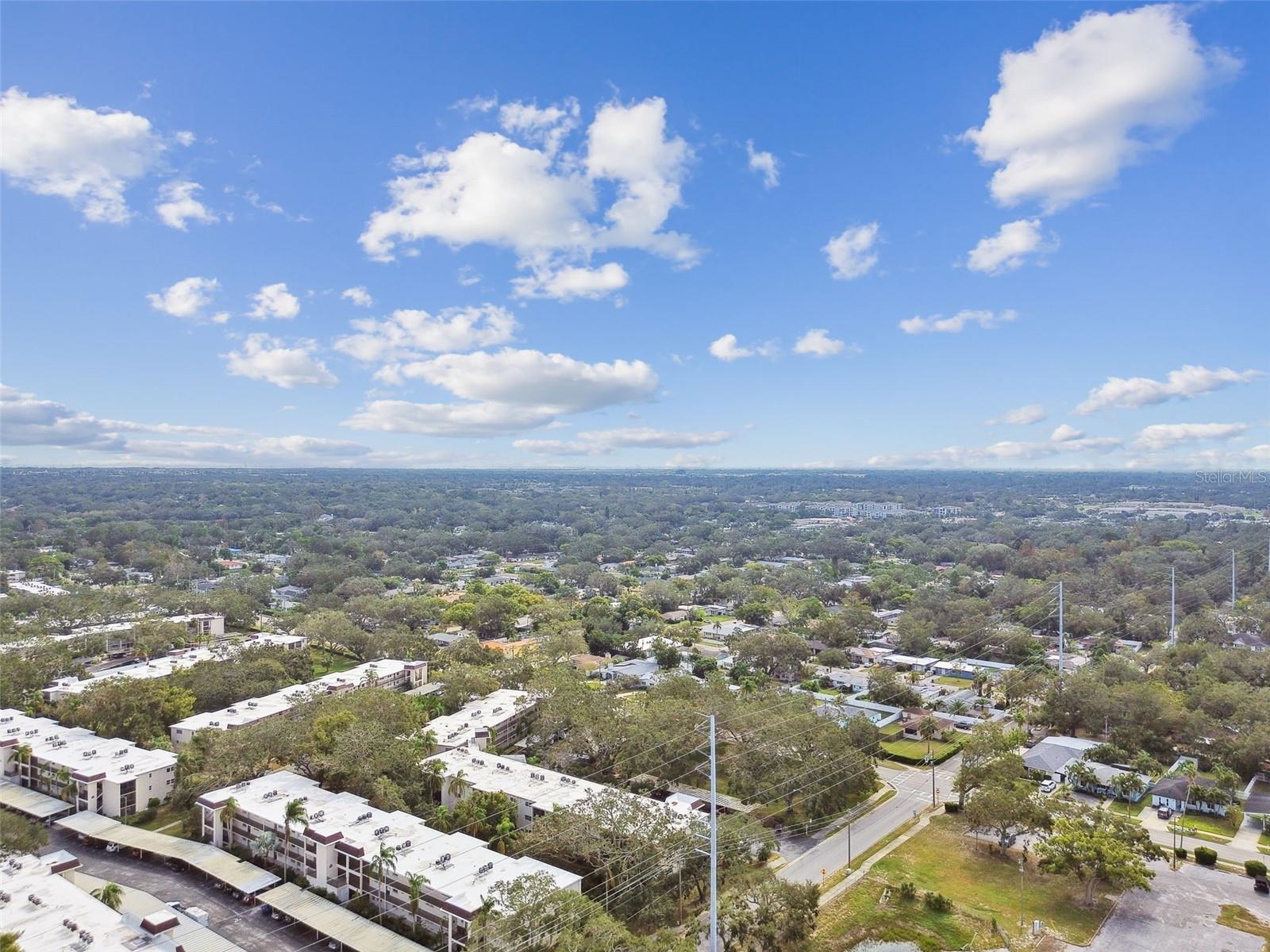820 VIRGINIA ST #202, DUNEDIN, FL, 34698